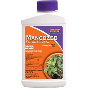 Manzozeb